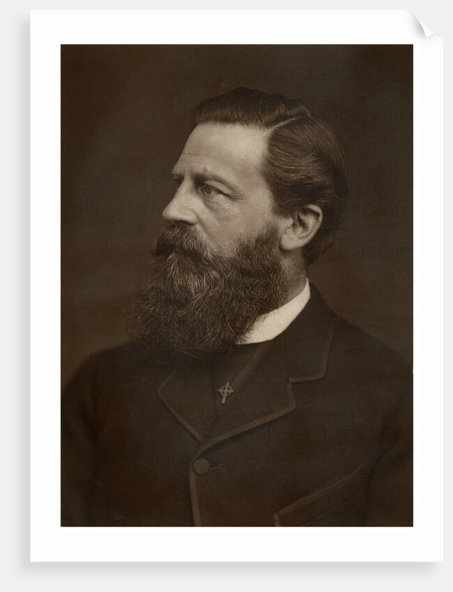 Portrait of a bearded man by Anonymous