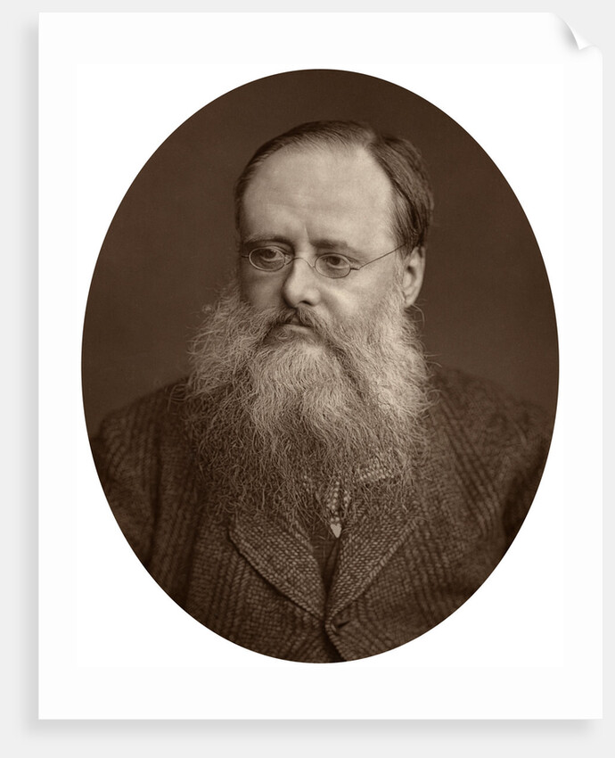 Portrait of an old man with a beard by Anonymous