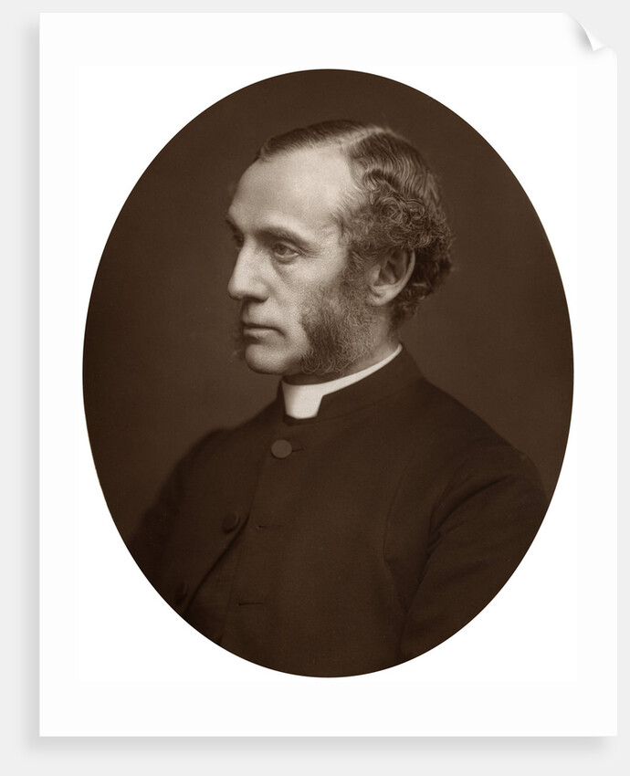 Portrait of a Reverend by Anonymous