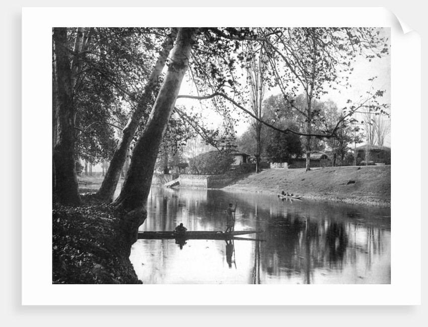 Chinar Bagh in the autumn, Kashmir, India by F Bremner