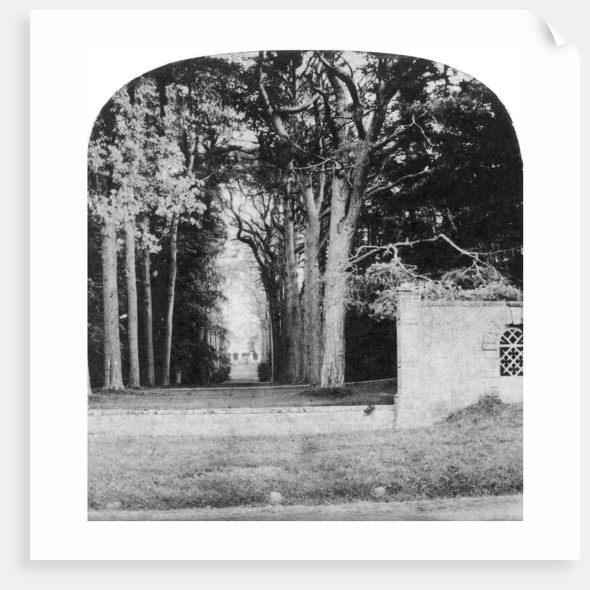 The Avenue, Guy's Cliff, Warwick by Anonymous