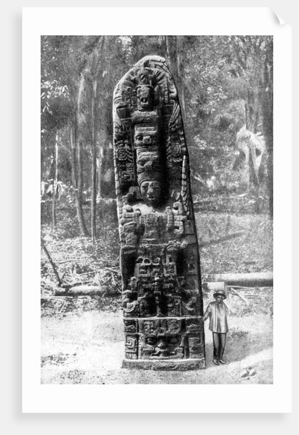A mystery monolith in the primeval forest of Quirigua, Guatemala by Alfred P Maudsley