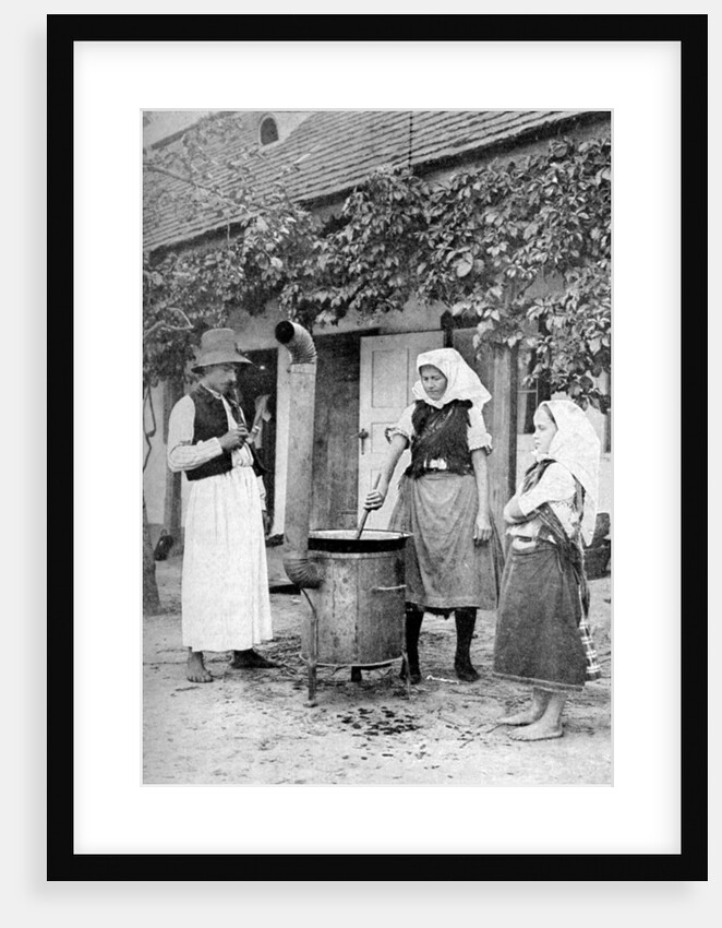 Making jelly in Czinkota, Hungary by AW Cutler