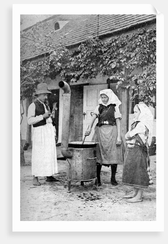 Making jelly in Czinkota, Hungary by AW Cutler