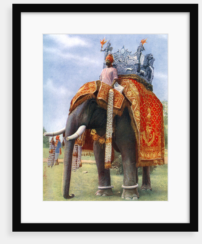 A majestic elephant at Bengal's chief festive gathering, India by L Barber