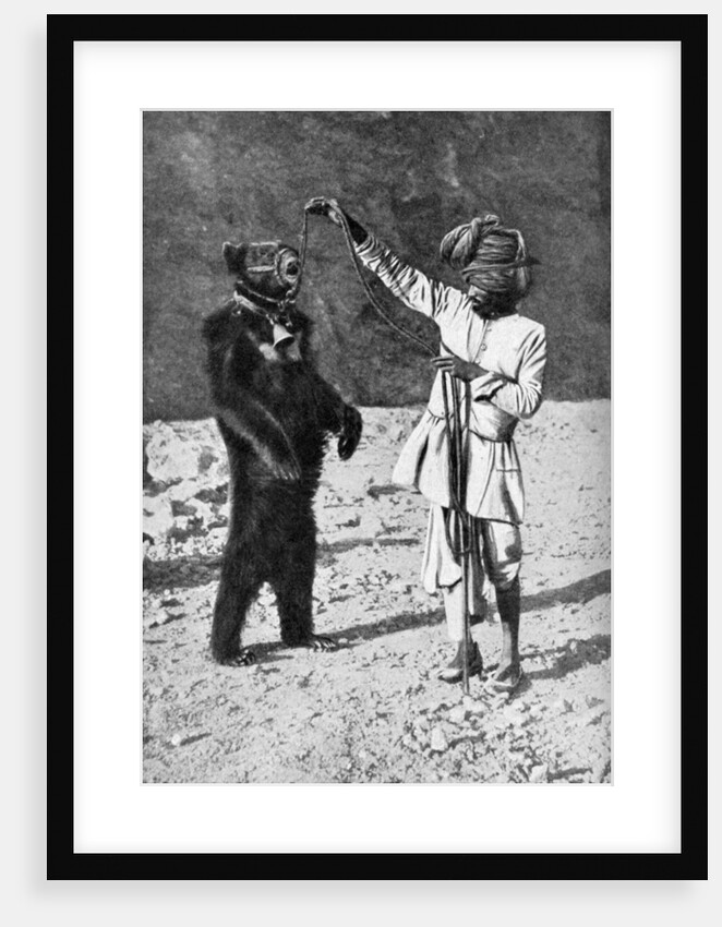 A Punjabi native with a dancing bear, India by Robert Chisham