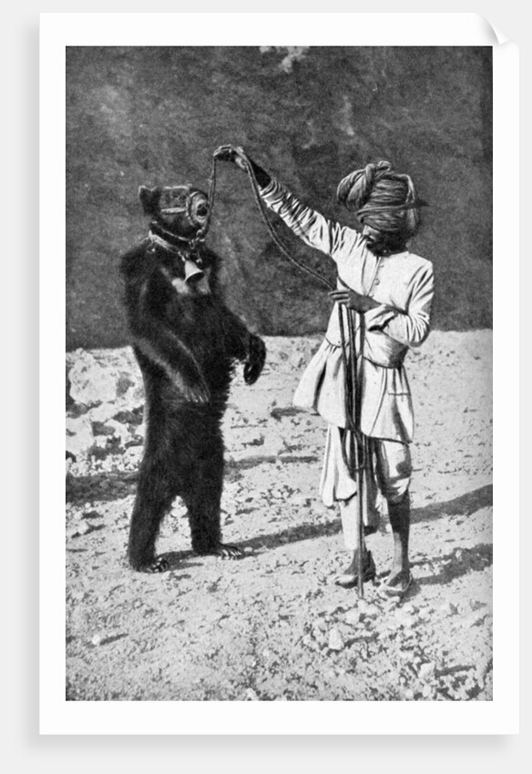 A Punjabi native with a dancing bear, India by Robert Chisham