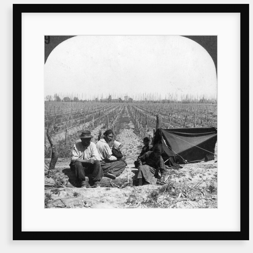 An Italian settler and his family, Mendoza, Argentina by Anonymous