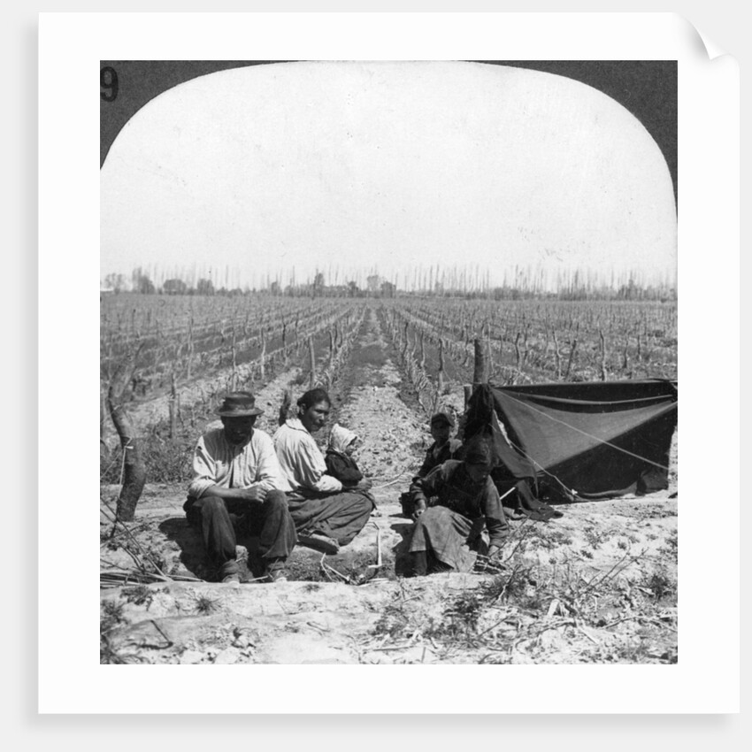 An Italian settler and his family, Mendoza, Argentina by Anonymous