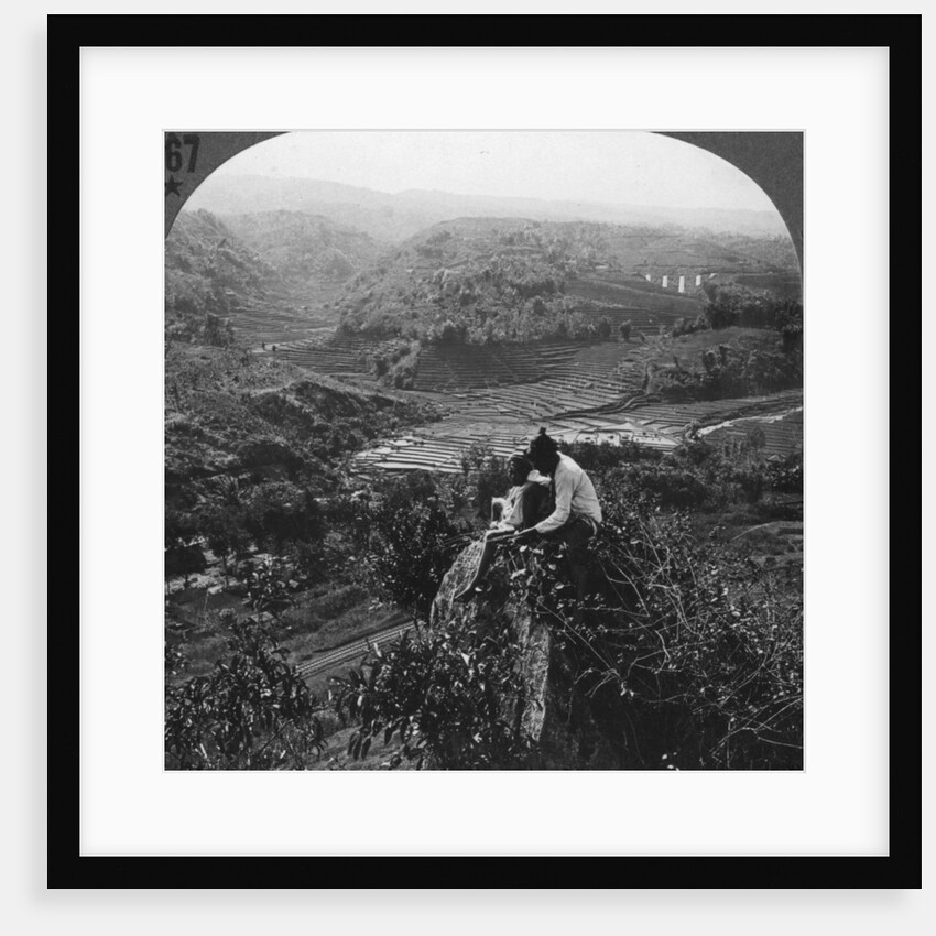 Java, Indonesia by Anonymous