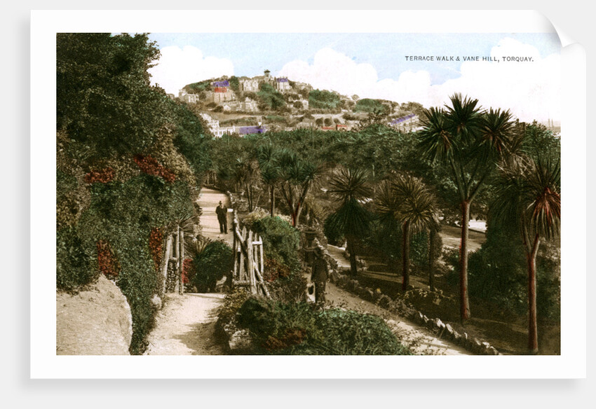 Terrace Walk and Vane Hill, Torquay, Devon by Ern Bishop