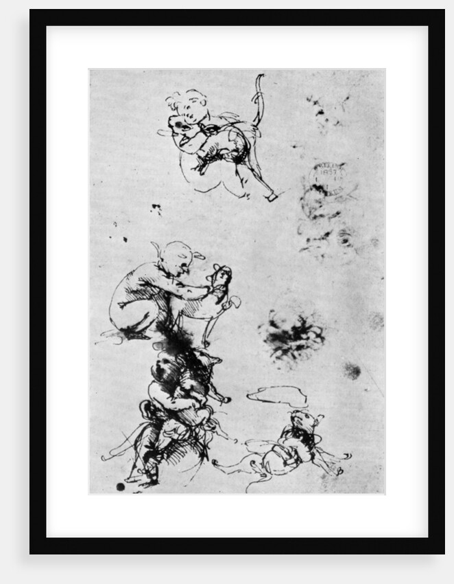 Studies for a 'Madonna Del Gatto' by Leonardo Da Vinci