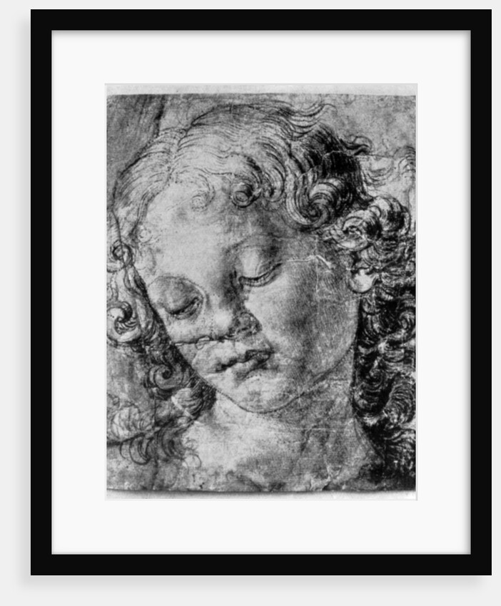 The head of an angel by Andrea del Verrocchio