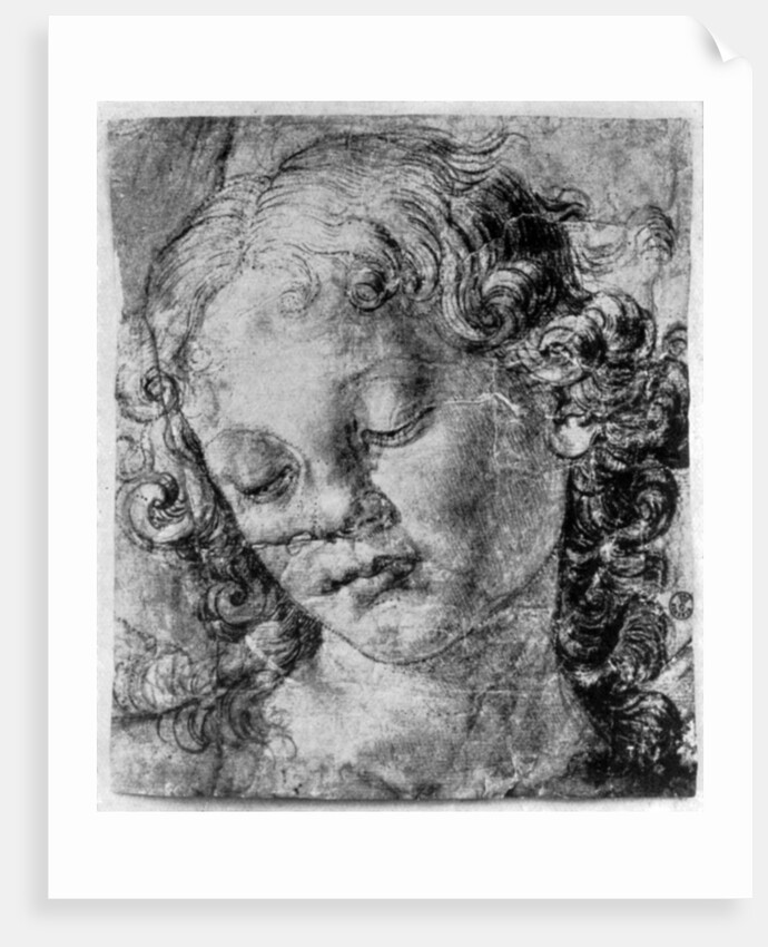 The head of an angel by Andrea del Verrocchio