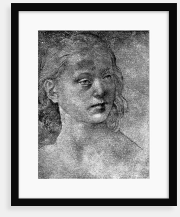 The head of a young woman by Lorenzo di Credi