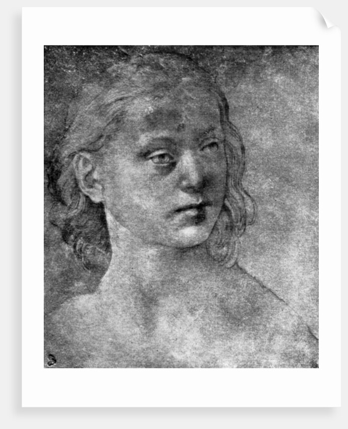 The head of a young woman by Lorenzo di Credi