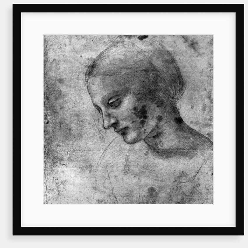 Study of the head of the Madonna by Leonardo Da Vinci