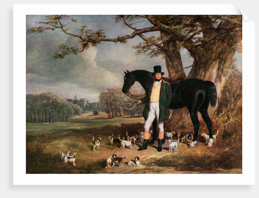 Mr Maynard and Her Majesty's Beagles by Henry Barraud