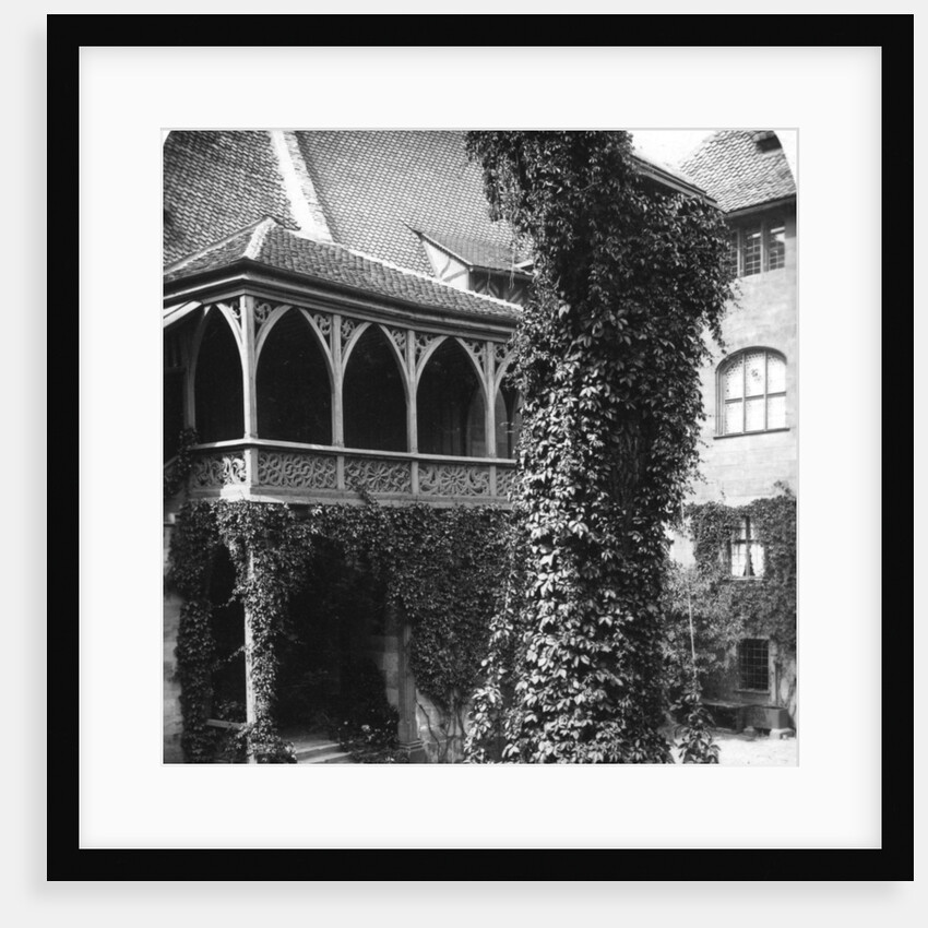 Lime tree in a courtyard, Nuremberg, Bavaria, Germany by Wurthle & Sons