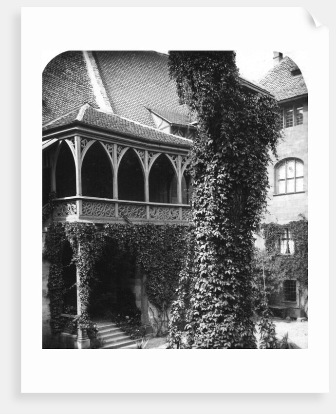 Lime tree in a courtyard, Nuremberg, Bavaria, Germany by Wurthle & Sons