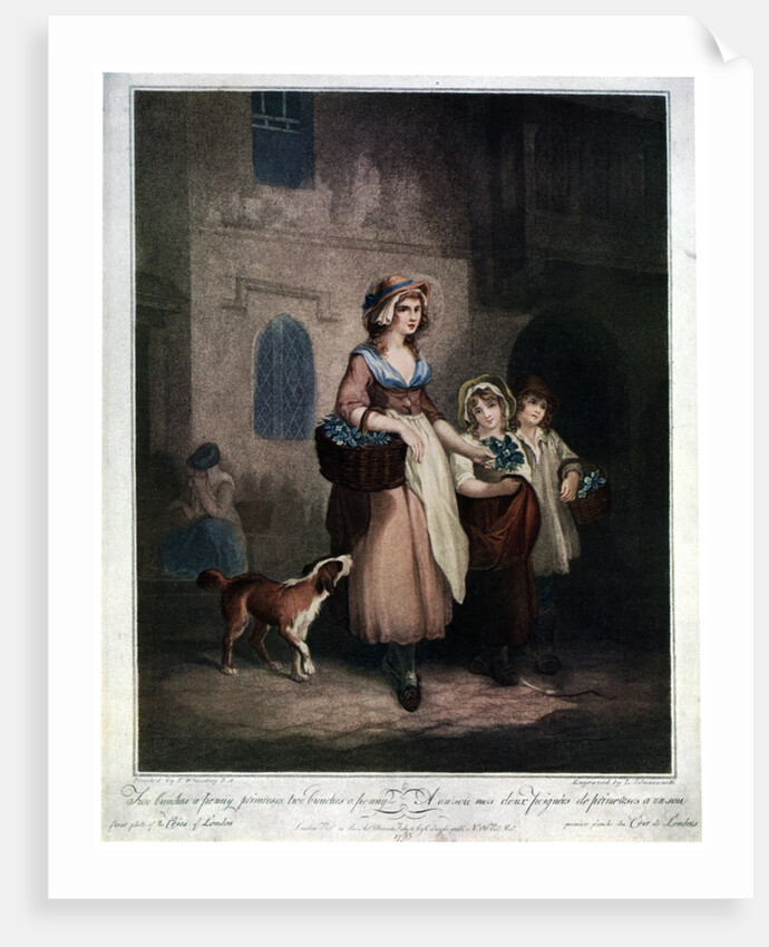 Two Bunches a Penny, Primroses, Two Bunches a Penny by Luigi Schiavonetti