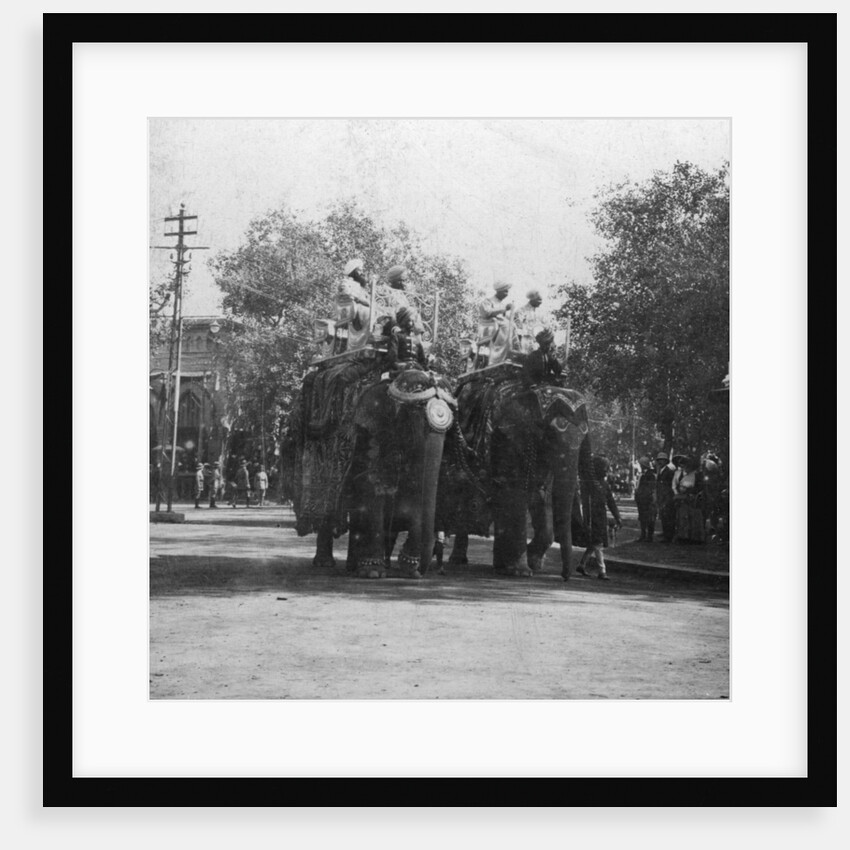 A Punjabi princess riding an elephant in a procession, Delhi, India by H Hands & Son