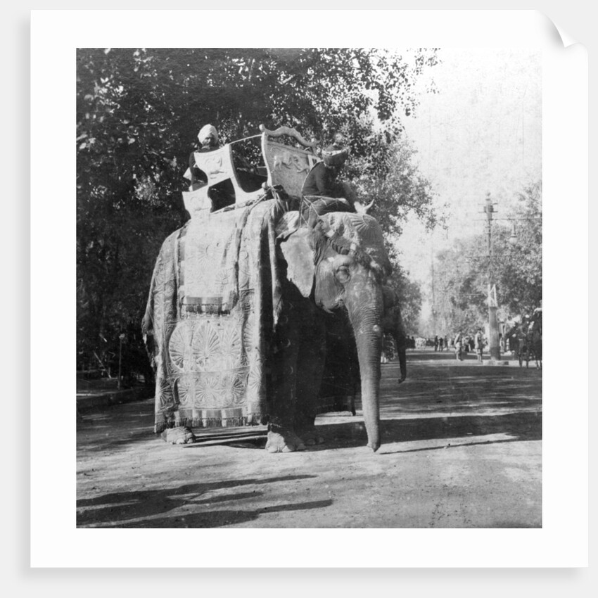 An elephant outside the railway station at Delhi, India by H Hands & Son