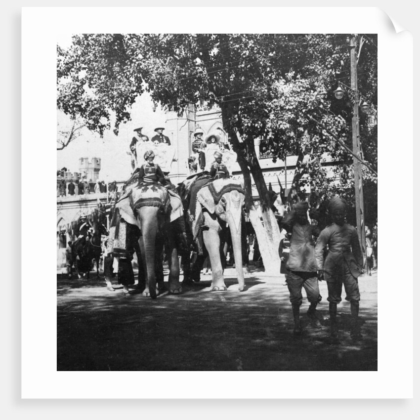 Viceregal staff and his daughter taking part in the elephant procession, Delhi, India by H Hands & Son