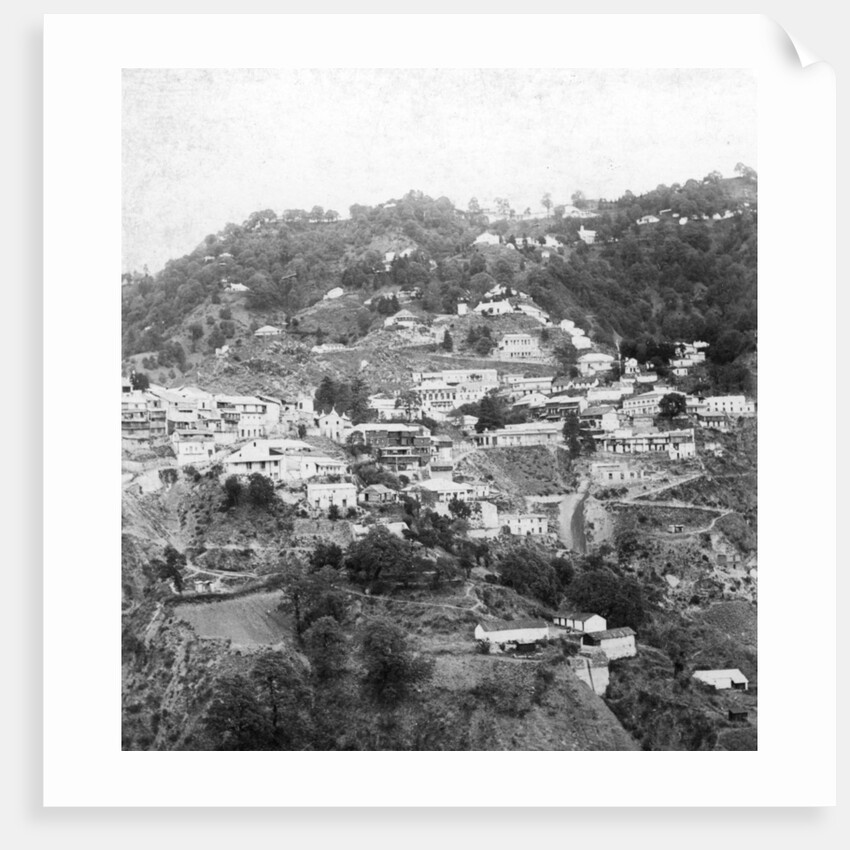 Landour, India by Anonymous