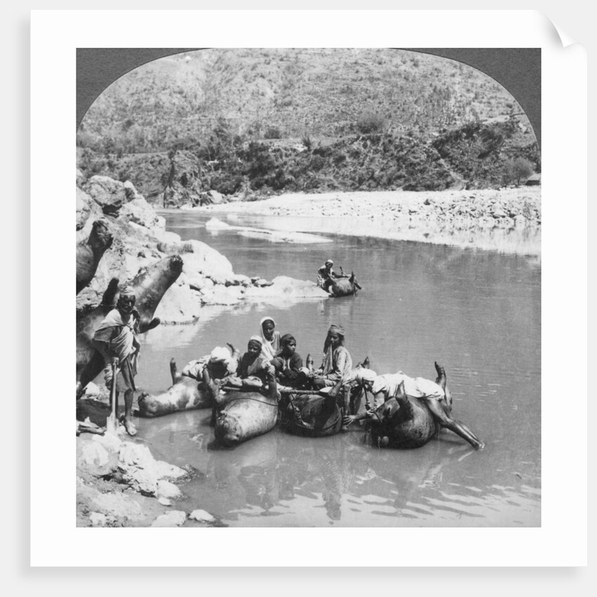 Inflated bullock skins used as ferry boats on the Sutlej River, Punjab, India by Anonymous