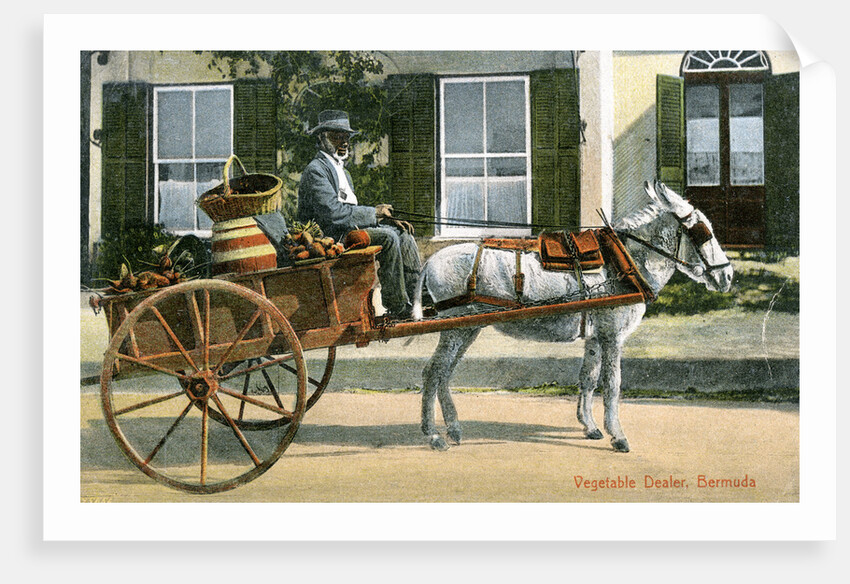 A vegetable dealer, Bermuda by Anonymous