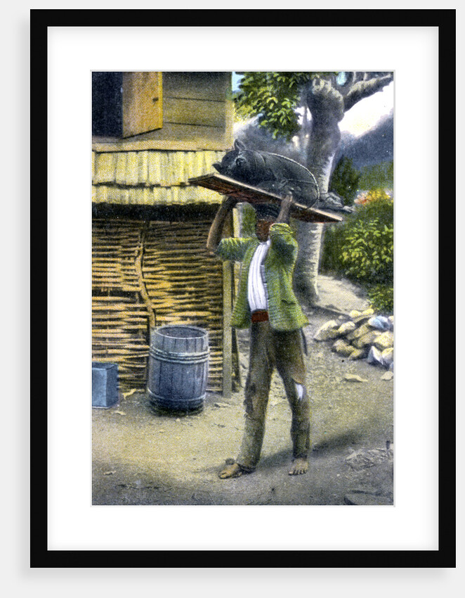 A man on his way to market to sell a pig, Jamaica by Anonymous