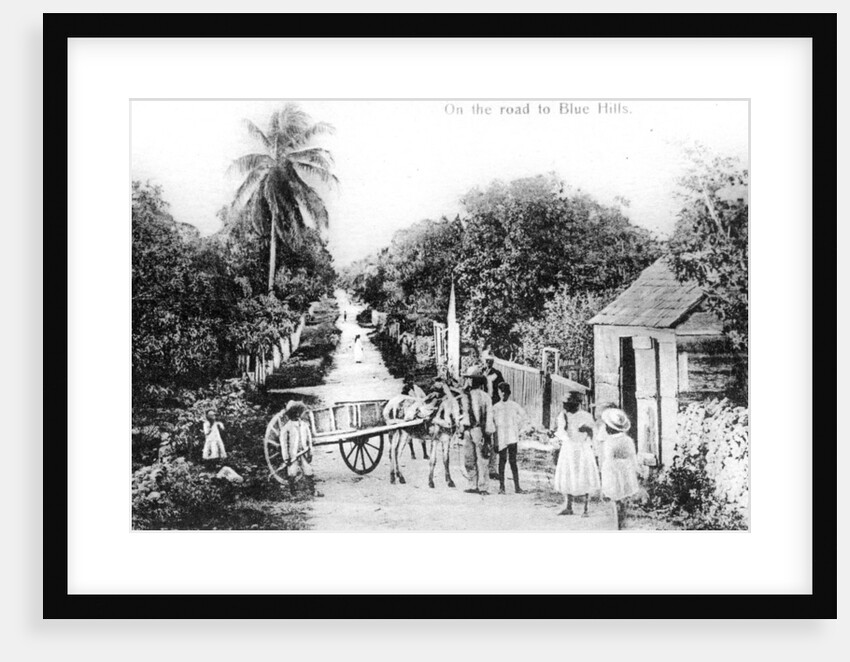 On the road to Blue Hills, Bahamas by Anonymous