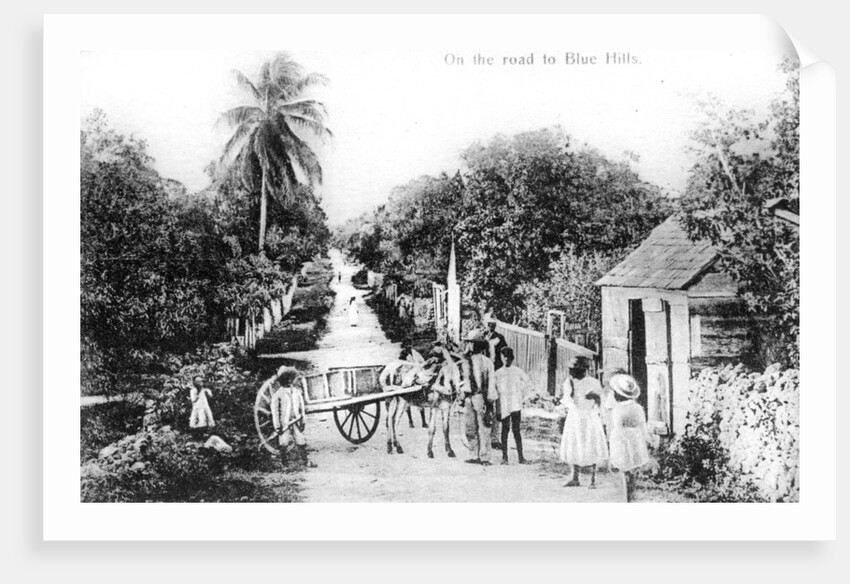 On the road to Blue Hills, Bahamas by Anonymous