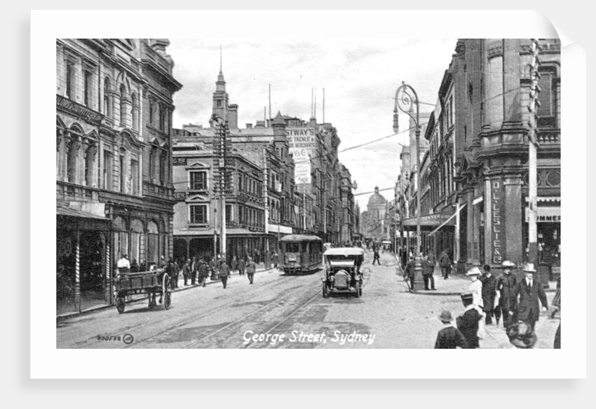 George Street, Sydney, Australia by Anonymous