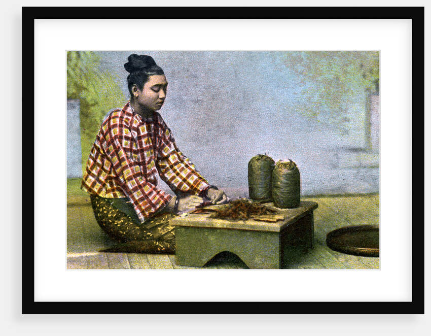 A Burmese woman making cigars by Anonymous