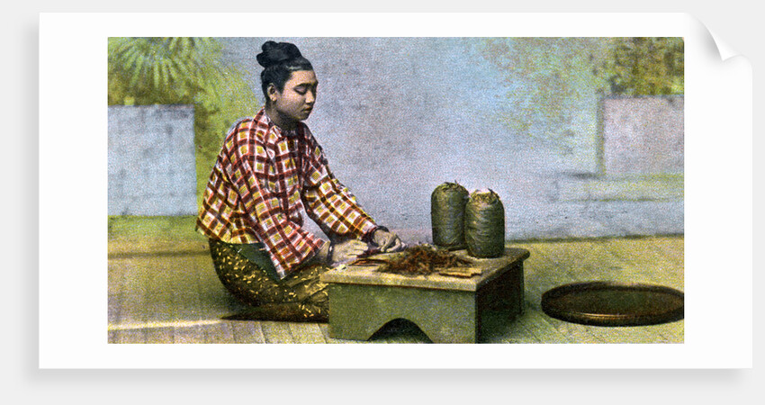 A Burmese woman making cigars by Anonymous