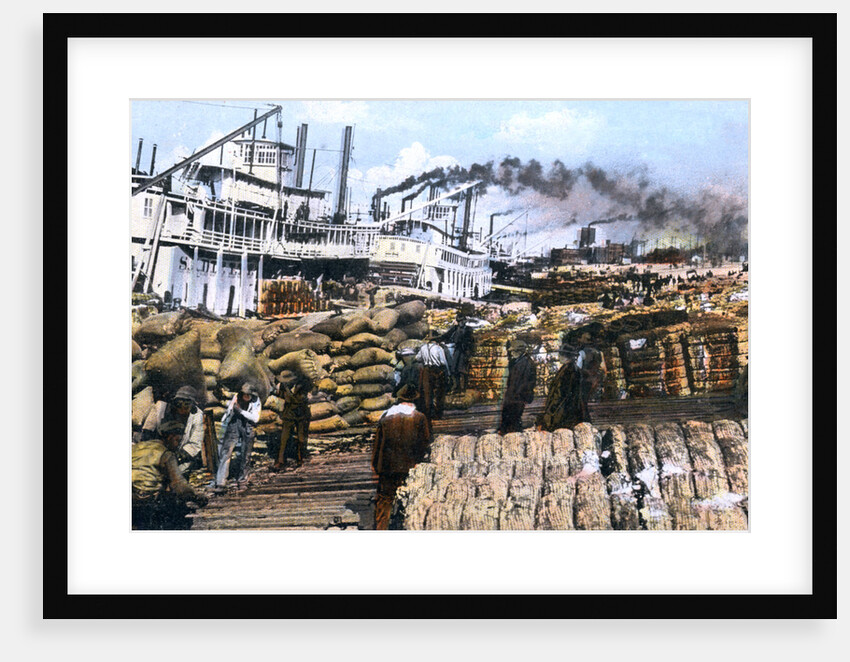 Loading cotton onto a ship, Memphis, Tennessee, USA by Anonymous