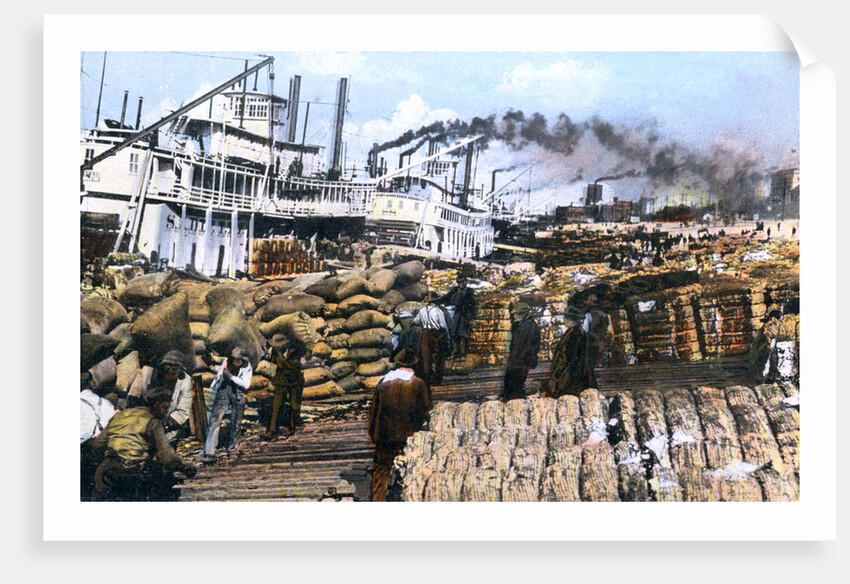 Loading cotton onto a ship, Memphis, Tennessee, USA by Anonymous