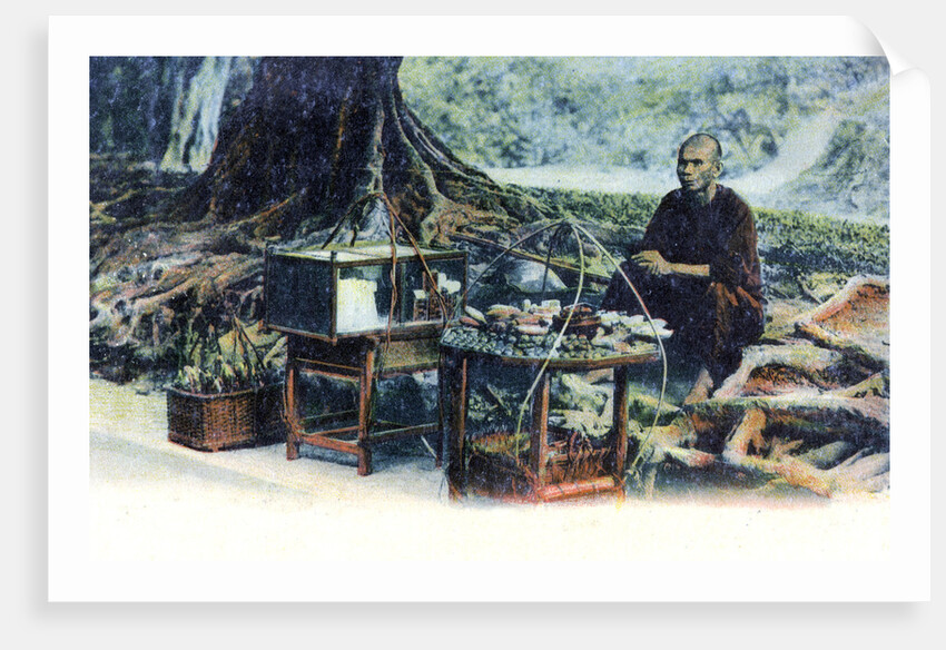 A man selling fruit under a tree, Hong Kong, China by Anonymous