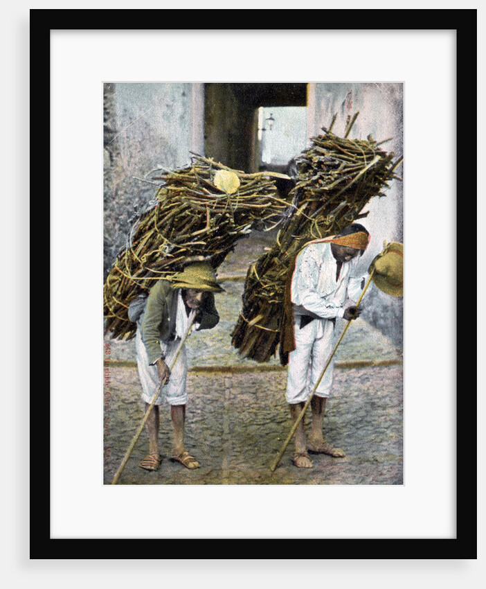 Two men carrying bundles of wood on their backs, Mexico by Anonymous