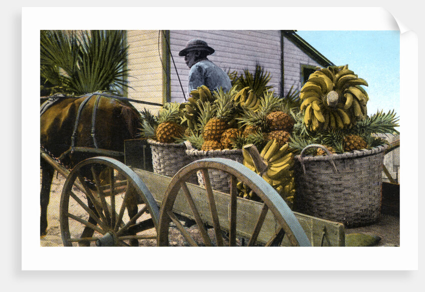A fruit trader, Taboga Island, Panama by Anonymous