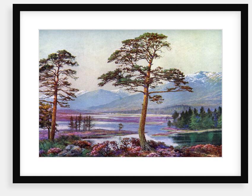 'On Loch Tulla, Black Mount, Argyllshire', Scotland by FC Varley