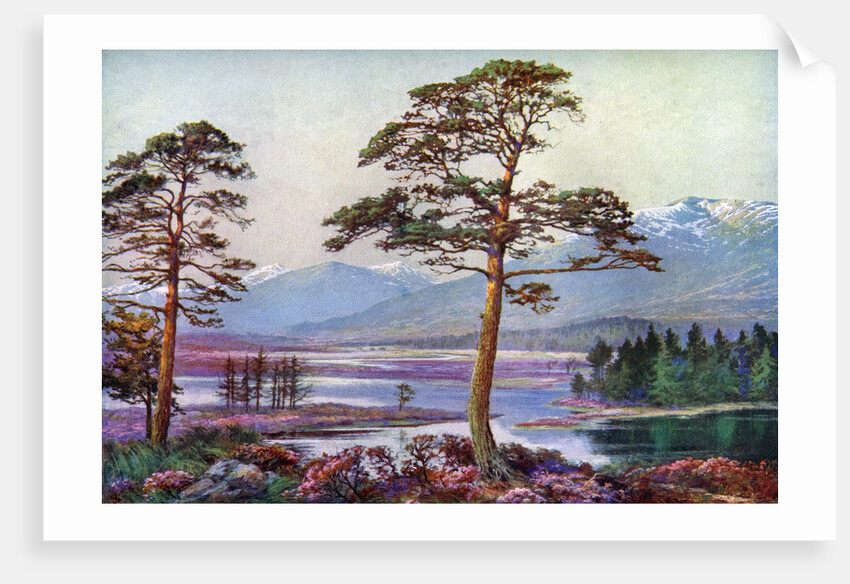 'On Loch Tulla, Black Mount, Argyllshire', Scotland by FC Varley