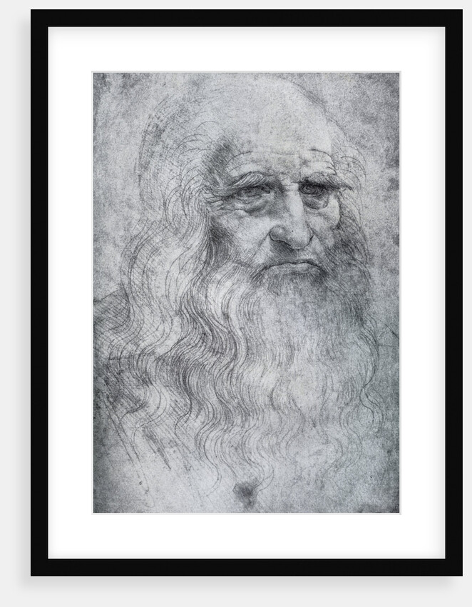 Self Portrait of Leonardo da Vinci by Leonardo Da Vinci