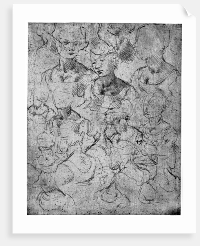 Studies for a half length female figure by Leonardo Da Vinci