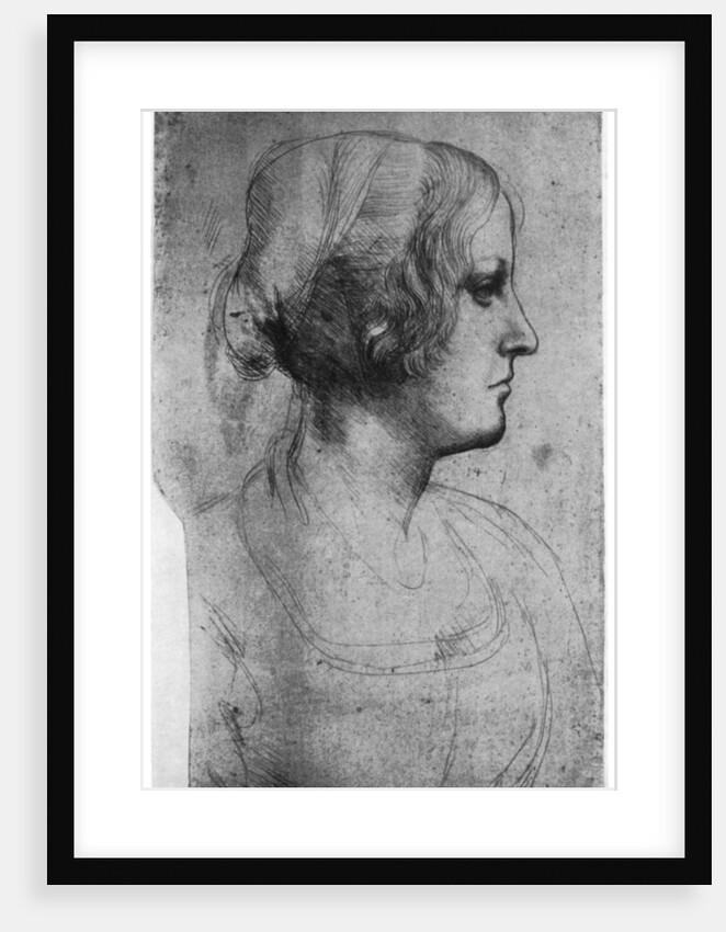 Portrait study of a young girl's head by Leonardo Da Vinci