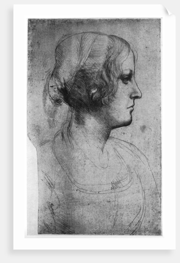 Portrait study of a young girl's head by Leonardo Da Vinci