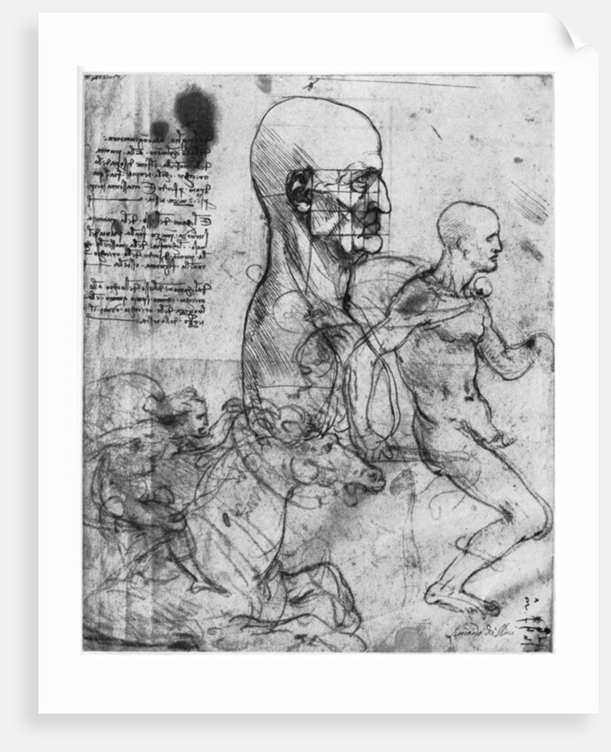 Profile of a man's head and studies of two riders by Leonardo Da Vinci