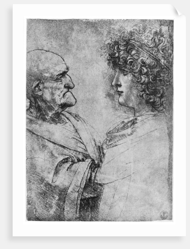 Studies of heads by Leonardo Da Vinci